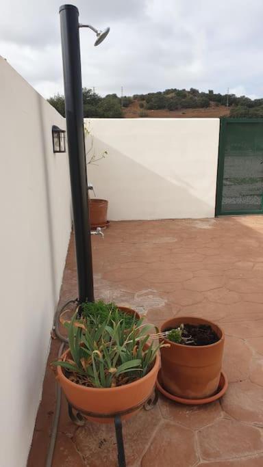 Casa La Hojiblanca Villa Mancha Real Esterno foto